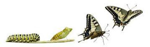 transformation personnelle