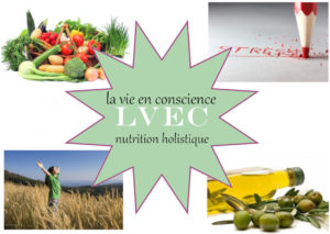 Lire la suite à propos de l’article Douleurs physiques, surpoids, difficultés émotionnelles : la Nutrition Holistique vous vient en aide