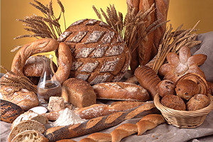 Lire la suite à propos de l’article Que penser du blé et du gluten ?
