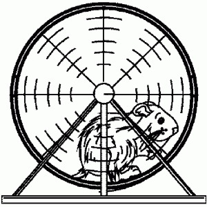 un-hamster-dans-une-roue hamster dans une roue